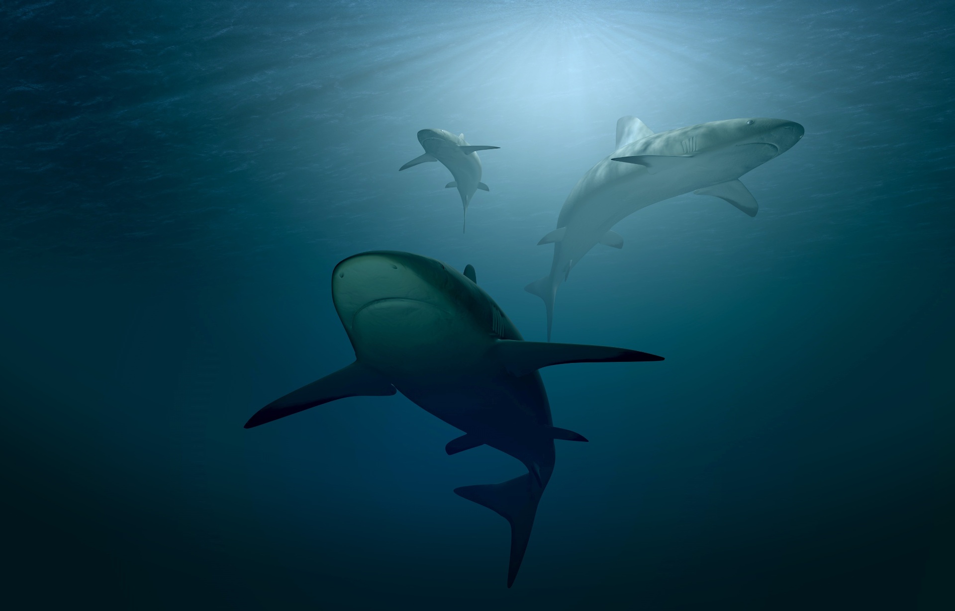 Blue Ocean